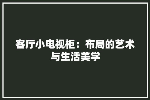 客厅小电视柜：布局的艺术与生活美学 现代风格装饰
