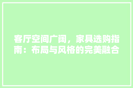 客厅空间广阔，家具选购指南：布局与风格的完美融合 现代风格装饰