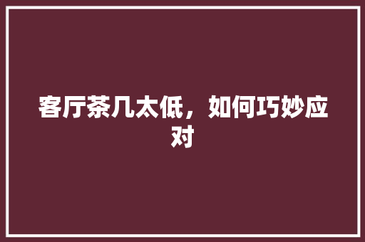 客厅茶几太低，如何巧妙应对 现代风格装饰