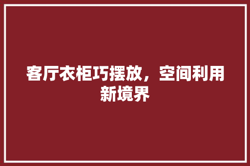 客厅衣柜巧摆放，空间利用新境界 现代风格装饰