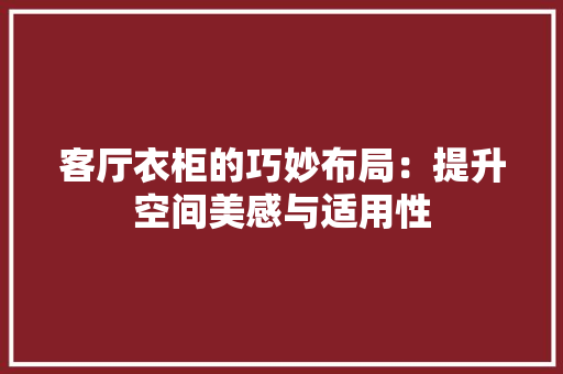客厅衣柜的巧妙布局：提升空间美感与适用性 现代风格装饰