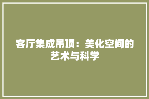 客厅集成吊顶：美化空间的艺术与科学 现代风格装饰