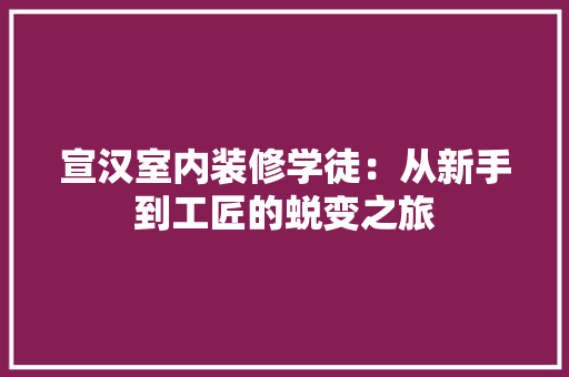 宣汉室内装修学徒：从新手到工匠的蜕变之旅