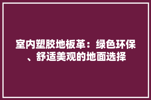 室内塑胶地板革：绿色环保、舒适美观的地面选择 现代风格装饰