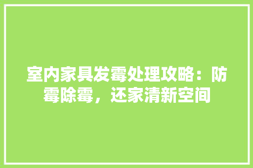 室内家具发霉处理攻略：防霉除霉，还家清新空间 现代风格装饰