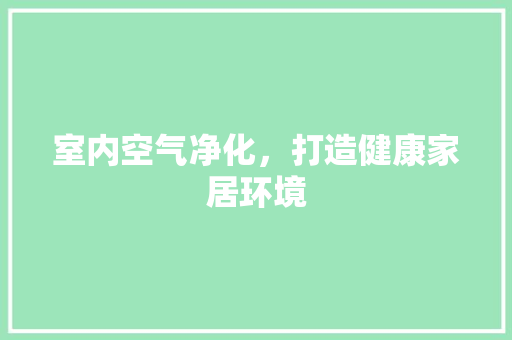 室内空气净化，打造健康家居环境 现代风格装饰