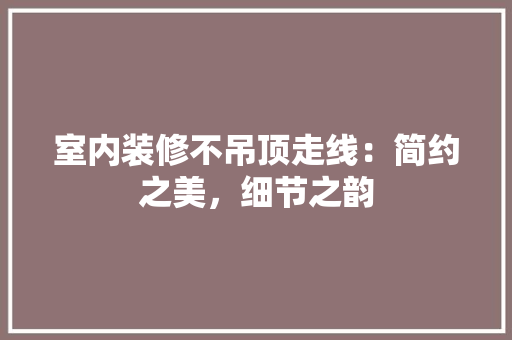 室内装修不吊顶走线：简约之美，细节之韵 现代风格装饰
