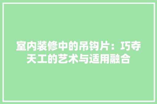室内装修中的吊钩片：巧夺天工的艺术与适用融合 现代风格装饰