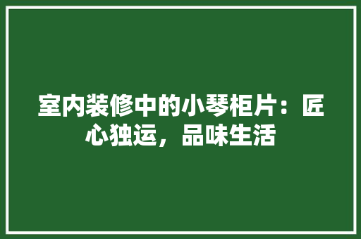 室内装修中的小琴柜片：匠心独运，品味生活 现代风格装饰