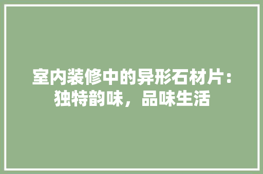 室内装修中的异形石材片：独特韵味，品味生活 现代风格装饰