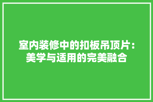 室内装修中的扣板吊顶片：美学与适用的完美融合 现代风格装饰