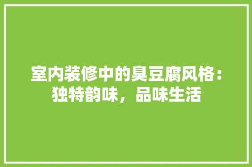 室内装修中的臭豆腐风格：独特韵味，品味生活 现代风格装饰