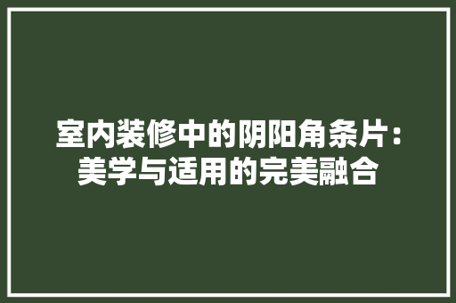 室内装修中的阴阳角条片：美学与适用的完美融合 现代风格装饰
