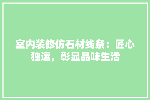 室内装修仿石材线条：匠心独运，彰显品味生活 现代风格装饰