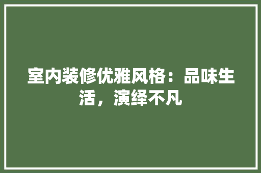 室内装修优雅风格：品味生活，演绎不凡 现代风格装饰