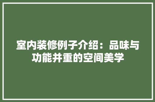 室内装修例子介绍：品味与功能并重的空间美学 现代风格装饰