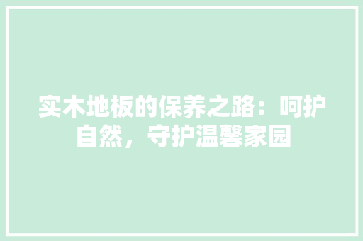 实木地板的保养之路：呵护自然，守护温馨家园 现代风格装饰