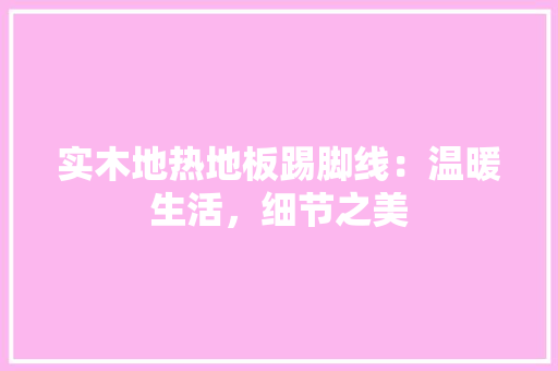 实木地热地板踢脚线：温暖生活，细节之美 现代风格装饰