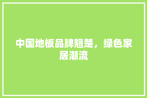 中国地板品牌翘楚，绿色家居潮流 家居装修