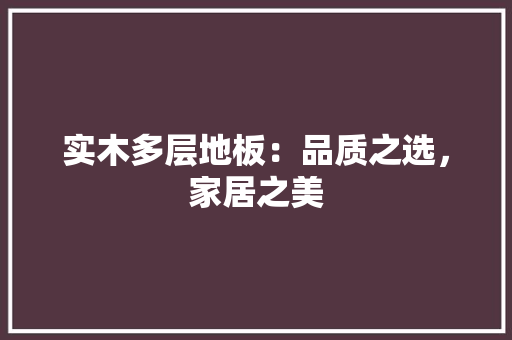 实木多层地板：品质之选，家居之美 现代风格装饰