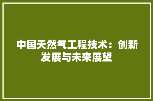 中国天然气工程技术：创新发展与未来展望 家居装修