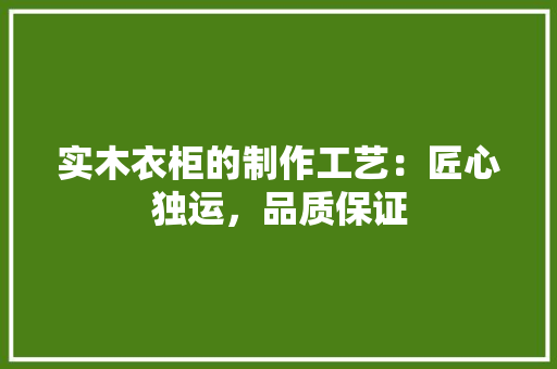 实木衣柜的制作工艺：匠心独运，品质保证 现代风格装饰