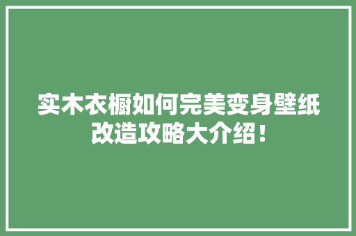 实木衣橱如何完美变身壁纸改造攻略大介绍！ 现代风格装饰