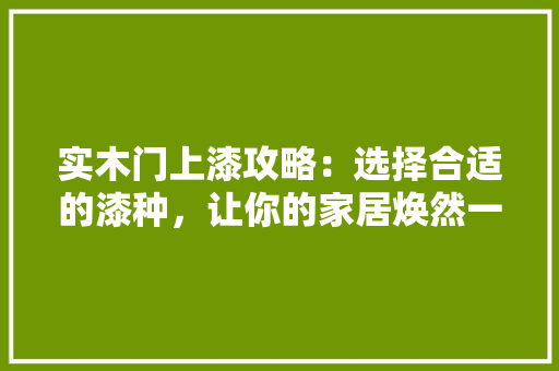 实木门上漆攻略：选择合适的漆种，让你的家居焕然一新 现代风格装饰