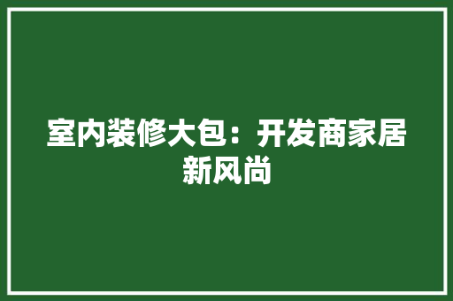 室内装修大包：开发商家居新风尚 现代风格装饰