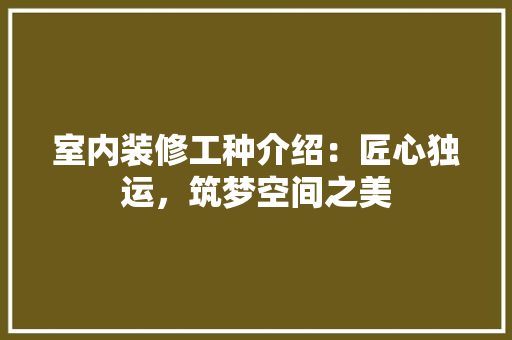 室内装修工种介绍：匠心独运，筑梦空间之美 现代风格装饰