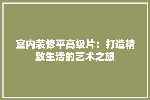 室内装修平高级片：打造精致生活的艺术之旅 现代风格装饰