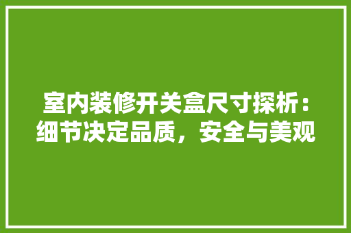 室内装修开关盒尺寸探析：细节决定品质，安全与美观共融 现代风格装饰
