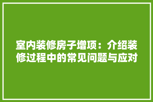 室内装修房子增项：介绍装修过程中的常见问题与应对步骤 现代风格装饰