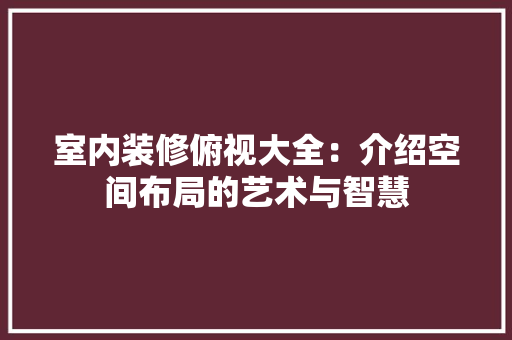 室内装修俯视大全：介绍空间布局的艺术与智慧 现代风格装饰