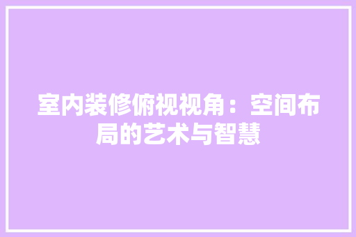 室内装修俯视视角：空间布局的艺术与智慧 现代风格装饰