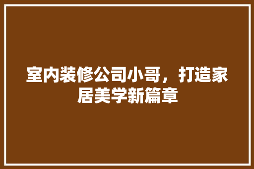 室内装修公司小哥，打造家居美学新篇章 现代风格装饰