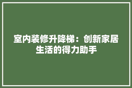 室内装修升降梯：创新家居生活的得力助手 现代风格装饰