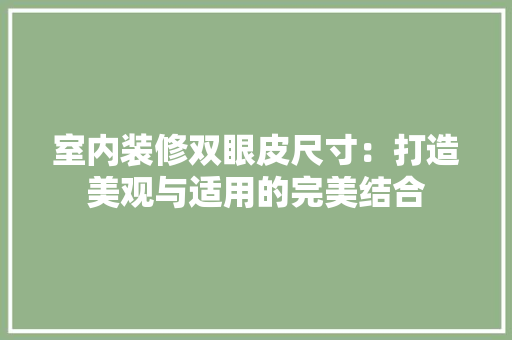 室内装修双眼皮尺寸：打造美观与适用的完美结合 现代风格装饰