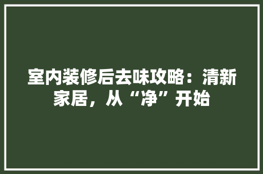 室内装修后去味攻略：清新家居，从“净”开始 现代风格装饰