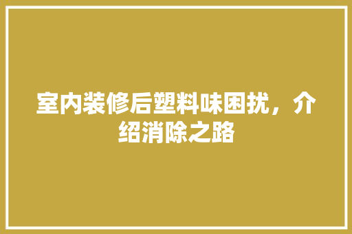 室内装修后塑料味困扰，介绍消除之路 现代风格装饰