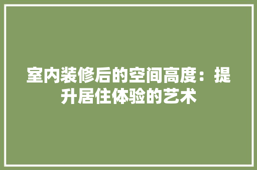 室内装修后的空间高度：提升居住体验的艺术 现代风格装饰