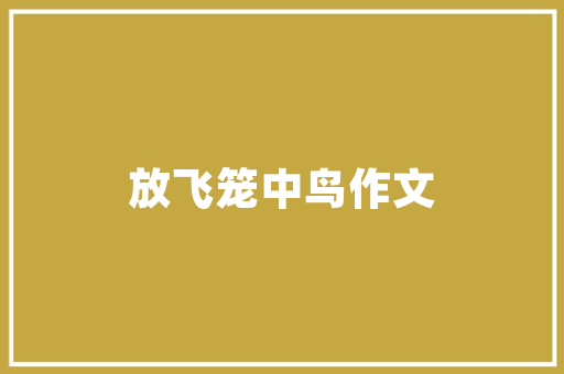 中宝室内装修公司：打造高品质家居环境，行业新风尚 家居装修