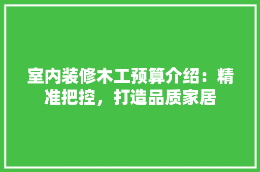 室内装修木工预算介绍：精准把控，打造品质家居 现代风格装饰