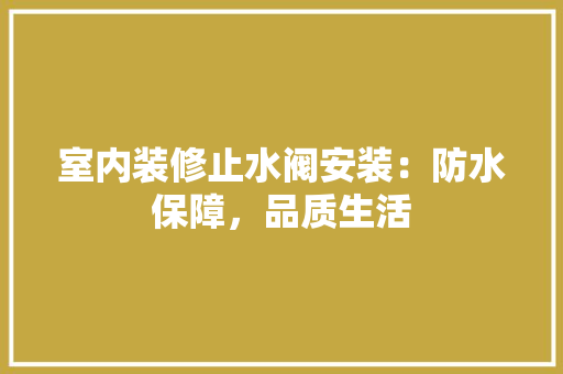 室内装修止水阀安装：防水保障，品质生活 现代风格装饰