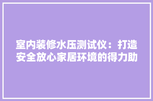 室内装修水压测试仪：打造安全放心家居环境的得力助手 现代风格装饰
