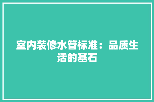 室内装修水管标准：品质生活的基石 现代风格装饰