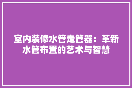 室内装修水管走管器：革新水管布置的艺术与智慧 现代风格装饰