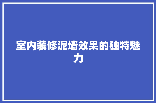 室内装修泥墙效果的独特魅力