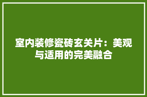 室内装修瓷砖玄关片：美观与适用的完美融合 现代风格装饰