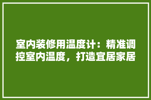 室内装修用温度计：精准调控室内温度，打造宜居家居环境 现代风格装饰